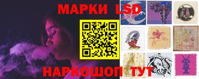 прущие грибы Сланцы