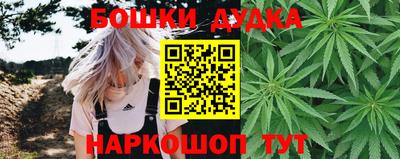 прущие грибы Сланцы