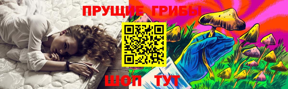 Новочебоксарск  дарнет шоп  Вход с VPN  Галлюциногенные грибы прущие грибы  Галлюциногенные грибы прущие грибы 