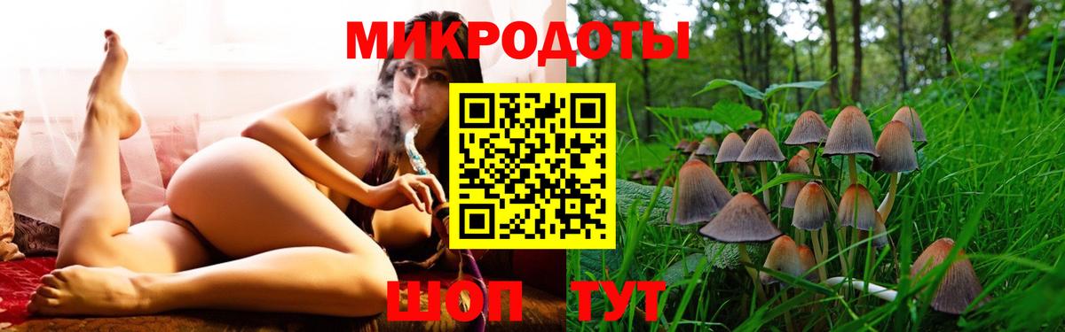 Псилоцибиновые грибы Psilocybine cubensis Новочебоксарск